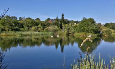 Magnifique chalet en bois avec son étang sauvage