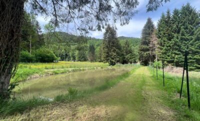 Etang à louer de loisir pour une journée au coeur de la nature