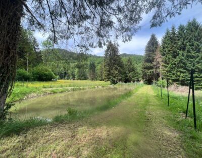 Etang à louer de loisir pour une journée au coeur de la nature