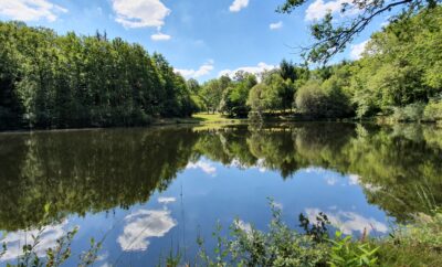 Deux étangs de pêche avec hébergement en Dordogne