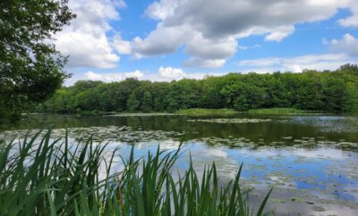 Roulotte au fond du jardin  et son étang de 9 hectares avec de gros spécimen