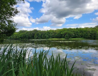 Roulotte au fond du jardin  et son étang de 9 hectares avec de gros spécimens