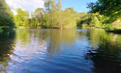 Etang familiale pour se ressourcer en pleine campagne