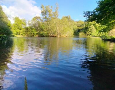 Etang familiale pour se ressourcer en pleine campagne