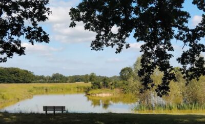 Location étang dans la Marne pour pêcher en famille ou entre amis