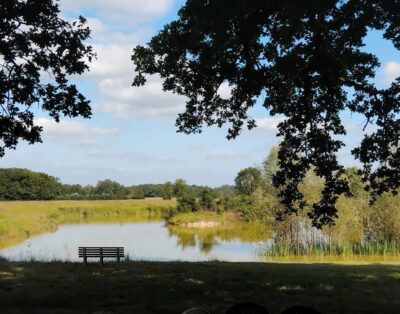 Location étang dans la Marne pour pêcher en famille ou entre amis