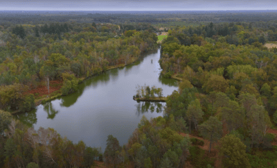 Location en Sologne, deux étangs avec une maison 4 couchages