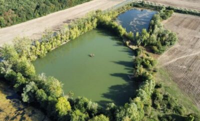 Domaine 7 couchages avec un étang et un coup de pêche en rivière et étang 2 hectares