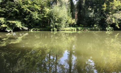 Deux étangs avec un coup de pêche au bord d’une rivière en pleine nature