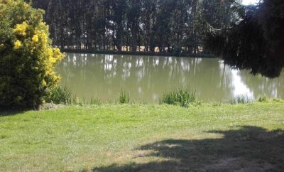 Location de deux étangs pour camper en Bretagne