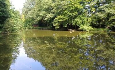 Etang familial pour un weekend dans la nature