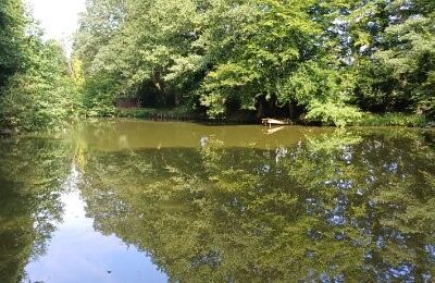 Etang familial pour un weekend dans la nature