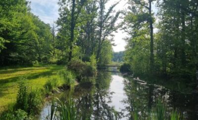 Etang aux portes de la Sologne