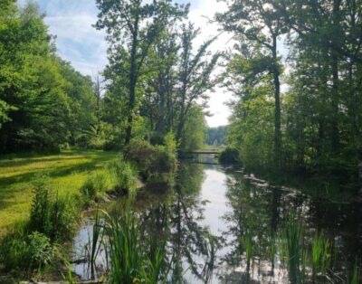 Etang aux portes de la Sologne