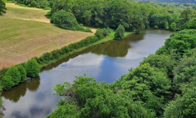 Etang à louer de 1.5ha avec une cabane de pêche