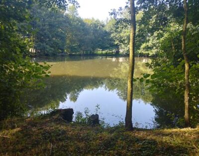 Etang à louer pour les vacances avec son mobil home dans le département de Maine-et-Loire