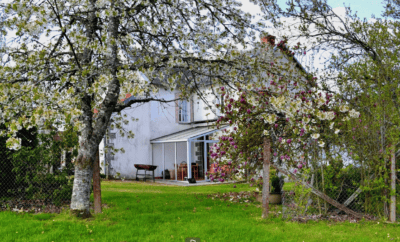 Gîte 12 couchages avec son étang de 3ha