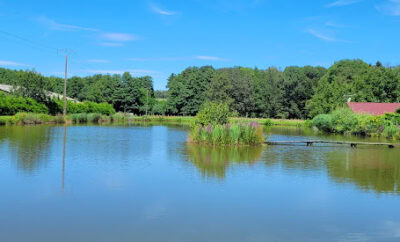 Etang de 0,5ha avec une maison de 12 couchages