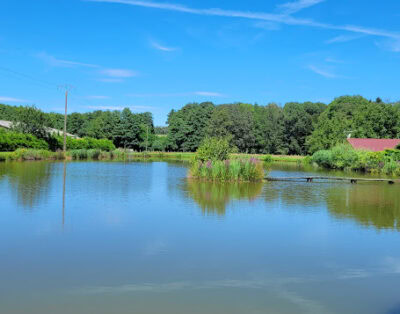 Etang de 0,5ha avec une maison de 12 couchages