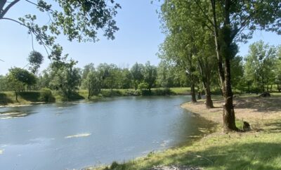 Etang de 2.5ha très sauvage à côte de Besançon