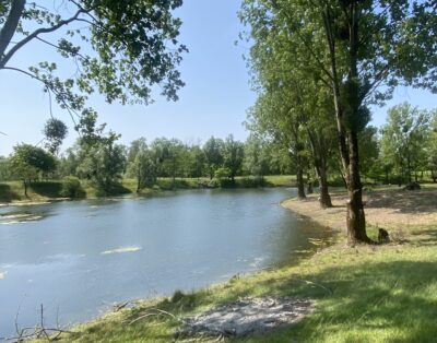 Etang de 2.5ha très sauvage à côte de Besançon