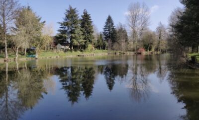 Étang privé en Mayenne avec terrain de pétanque