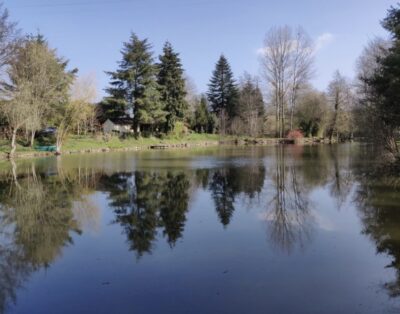 Étang privé en Mayenne avec terrain de pétanque