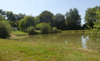 Gîte au bord de 2 étangs de 2500 m2 chacun