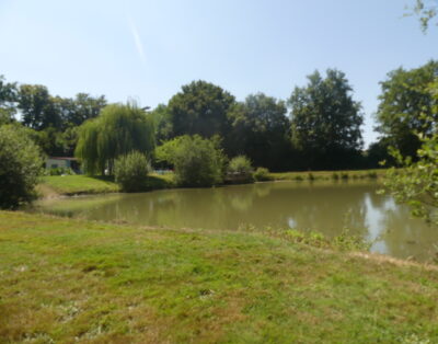 Gîte au bord de 2 étangs de 2500 m2 chacun