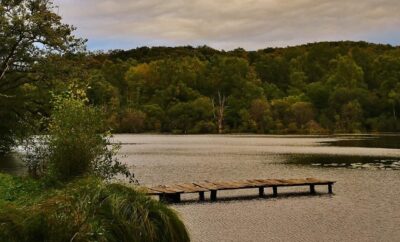 Etang à louer de 3ha dans la Creuse avec sa cabane  de pêcheur