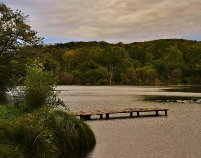 Etang à louer de 3ha dans la Creuse avec sa cabane  de pêcheur