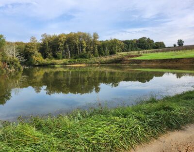 2 étangs au bord d’un château Bordelais et ses vignes