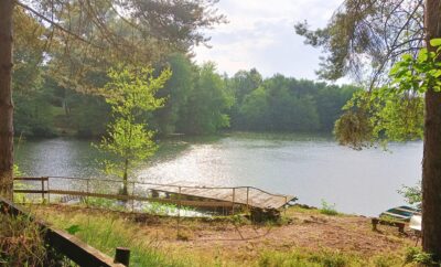 Joli chalet-terrasse avec son étang sauvage en Saône et Loire