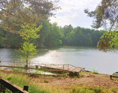 Joli chalet-terrasse avec son étang sauvage en Saône et Loire