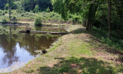 Etang pour camper dans la Nièvre