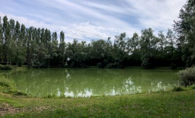 Location étang pour un weekend dans l’Aube