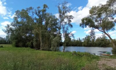 Camping et pêche : une évasion nature au bord de l’étang