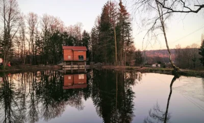 Gîte et son étang à côté des chevaux