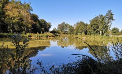 Etang pour pêcher et camper dans la Nièvre