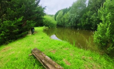 Location d’un étang de 1ha pour pêcher la carpe et camper