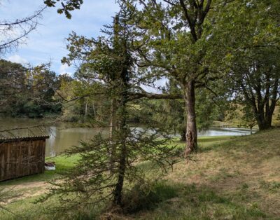 Chalet avec étang proche de Dax et de l’océan