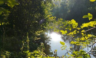 Etang à louer en Haute-Saône pour camper au bord de l’eau