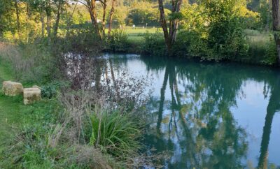 Halte paisible en camping-car au bord d’un étang avec rivière au coeur de la Dordogne