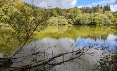 Étang de 1ha à louer dans la creuse