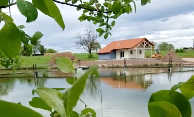 Chalet avec son étang au coeur de la nature