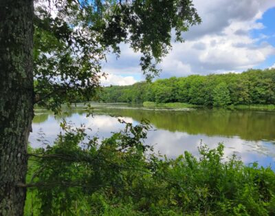 Gite détente en pleine nature avec étang de 9 hectares