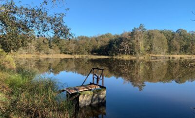 Étang privatif de 4 hectares au cœur de la nature