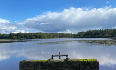 Etang de 16ha avec son gîte haut de gamme