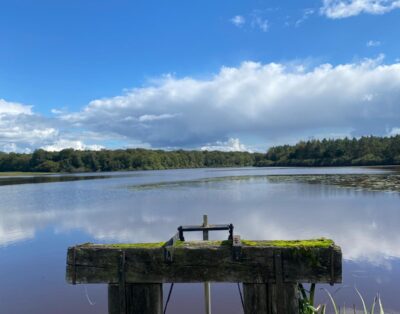 Etang de 16ha avec son gîte haut de gamme