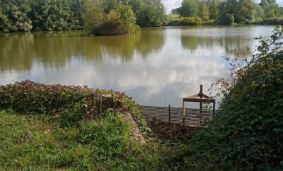 Etang de 2.5ha avec son mobil home en Saône-et-Loire